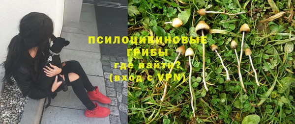 мет Балахна