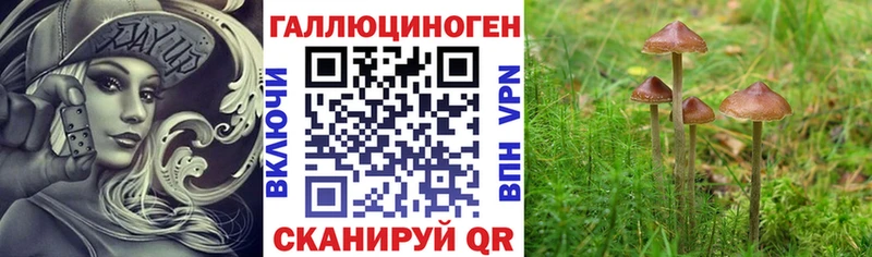 Галлюциногенные грибы мухоморы Рассказово